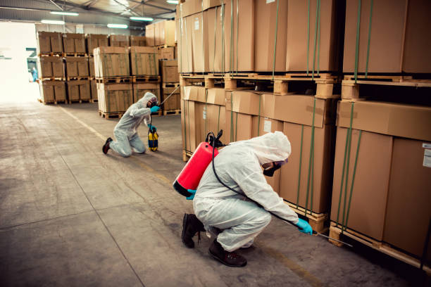 Best Ant Control Services  in Oral City, FL