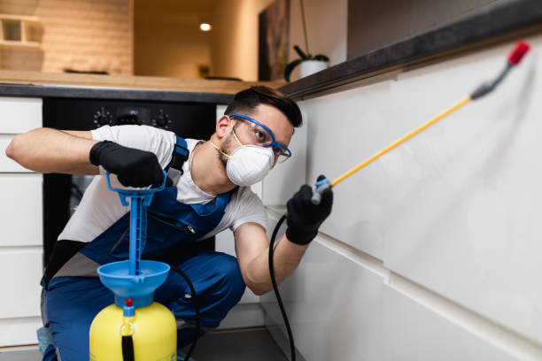 Wildlife Control Services in Floral City, FL