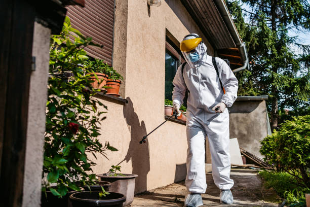 Reliable Floral City, FL Pest Control Solutions