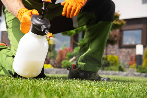Best Ant Control Services  in Oral City, FL