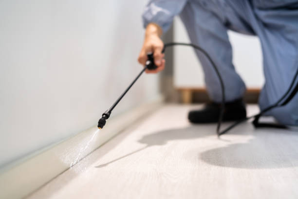 Best Commercial Pest Control Services  in Oral City, FL
