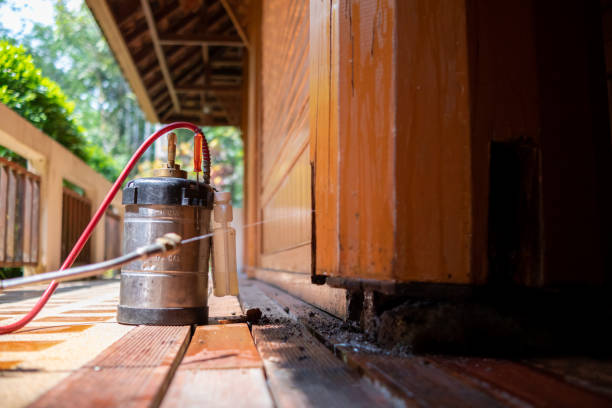 Best Exterminator Services  in Oral City, FL