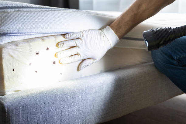 Best Exterminator Services  in Oral City, FL