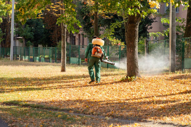 Best Pest Control for Businesses  in Oral City, FL
