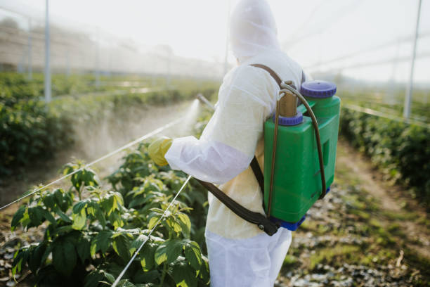 Best Flea Control Services  in Oral City, FL